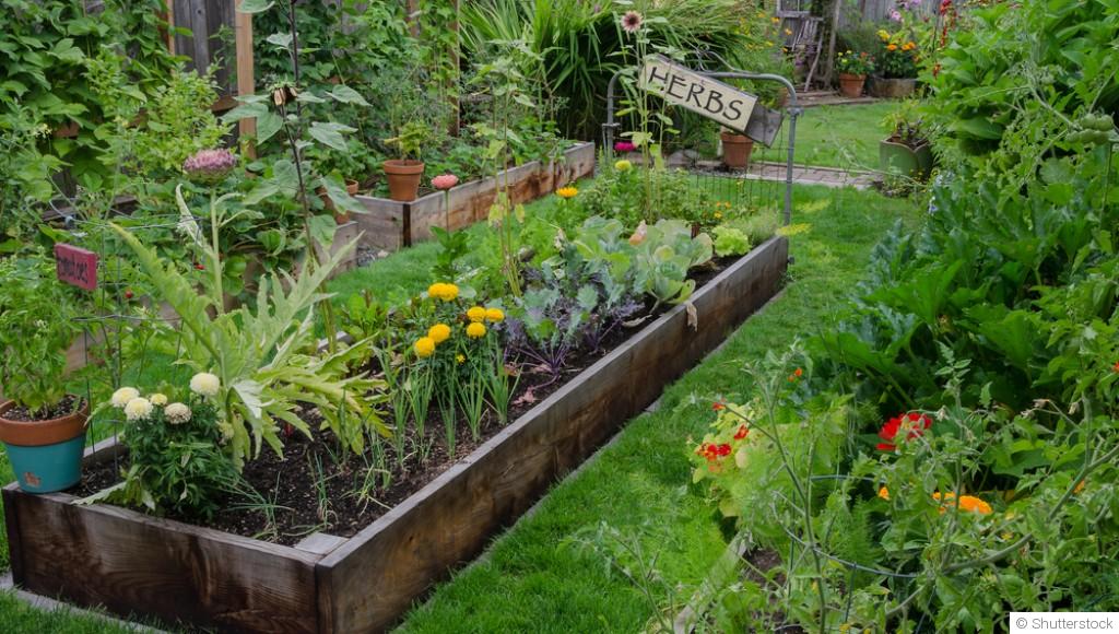 Aménager son jardin en février : idées et conseils pratiques