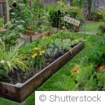 Aménager son jardin en février : idées et conseils pratiques