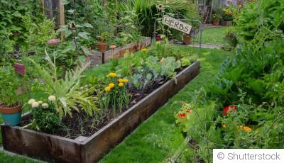 Aménager son jardin en février : idées et conseils pratiques