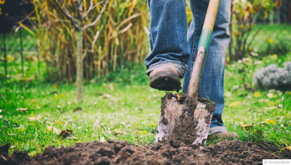 Faut-il bêcher son jardin en hiver ? Avantages et inconvénients