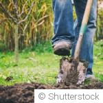 Faut-il bêcher son jardin en hiver ? Avantages et inconvénients