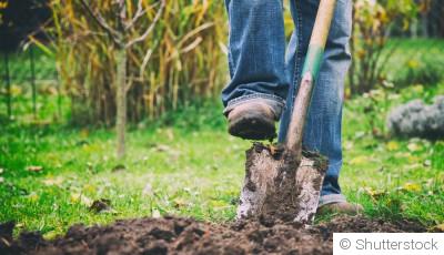 Faut-il bêcher son jardin en hiver ? Avantages et inconvénients