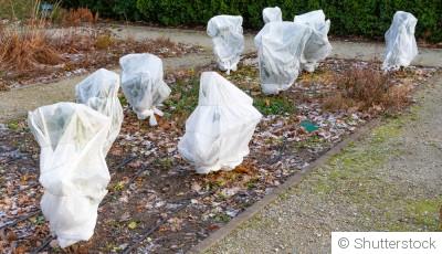 Hiver au potager : paillage, voile et cloche, quelle protection choisir ?