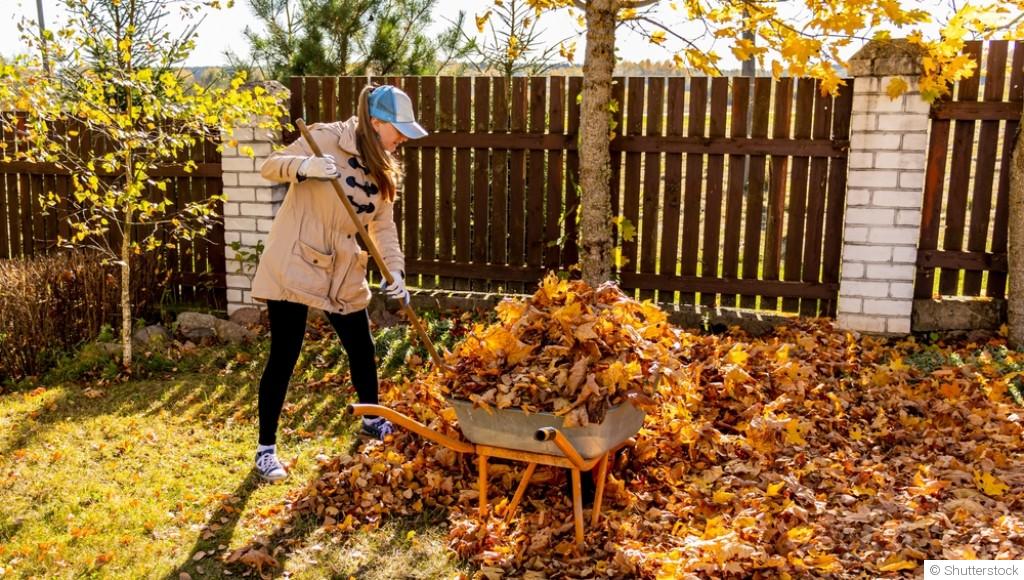 Nettoyer ou laisser en place : que faire des feuilles mortes au jardin ?