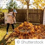 Nettoyer ou laisser en place : que faire des feuilles mortes au jardin ?
