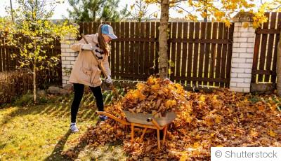 Nettoyer ou laisser en place : que faire des feuilles mortes au jardin ?
