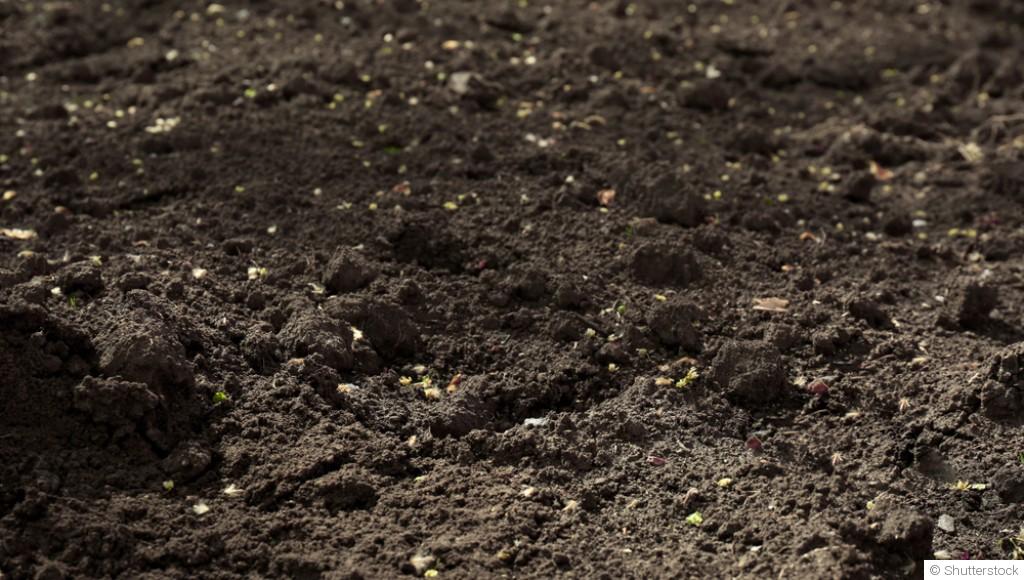 Comment réveiller un jardin endormi après l’hiver