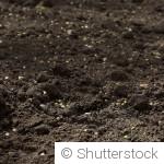 Comment réveiller un jardin endormi après l’hiver