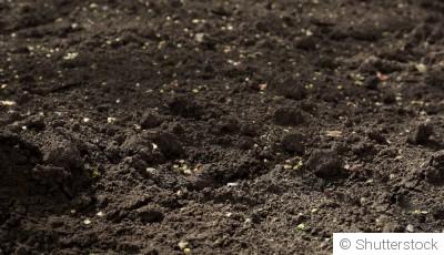 Comment réveiller un jardin endormi après l’hiver