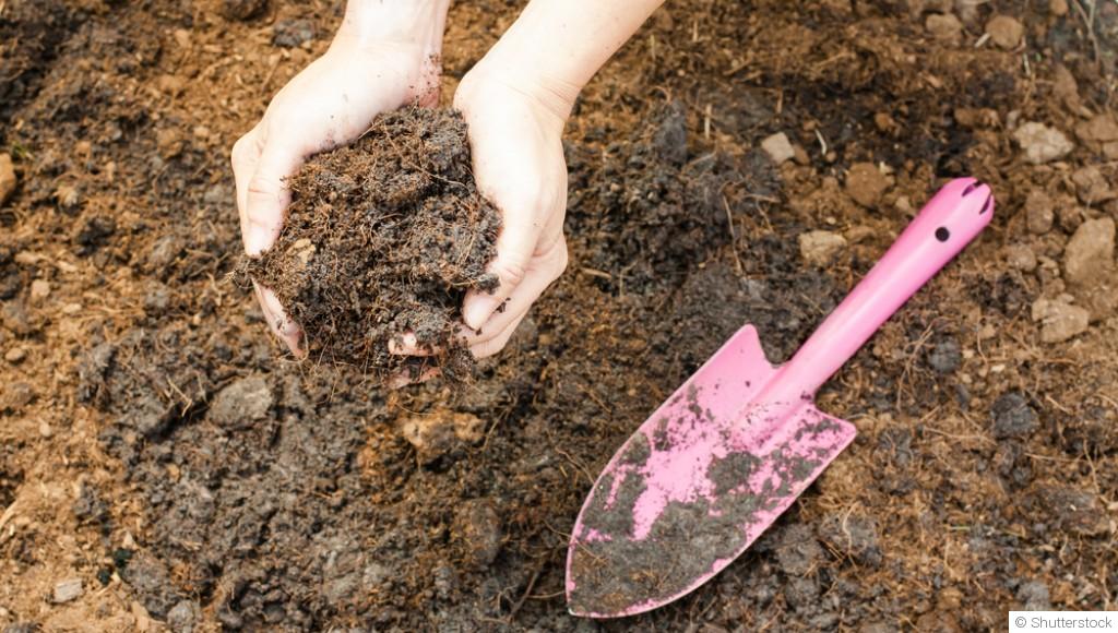 Les erreurs fréquentes au jardin à éviter absolument