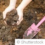 Les erreurs fréquentes au jardin à éviter absolument
