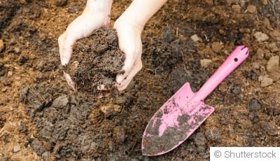 Les erreurs fréquentes au jardin à éviter absolument