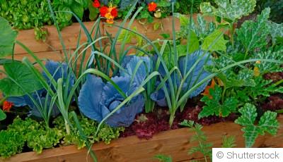 Que semer au potager en avril ? Légumes et aromatiques à privilégier