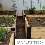 Créer un potager facile pour jardiniers débutants