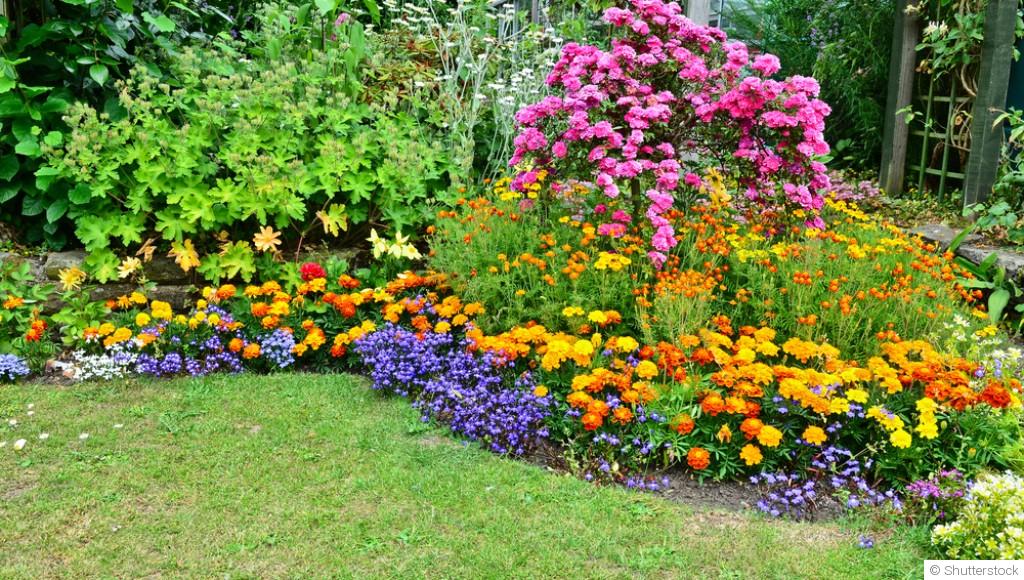 Entretenir les massifs de fleurs au printemps : les gestes indispensables