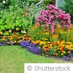 Entretenir les massifs de fleurs au printemps : les gestes indispensables