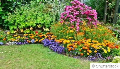 Entretenir les massifs de fleurs au printemps : les gestes indispensables