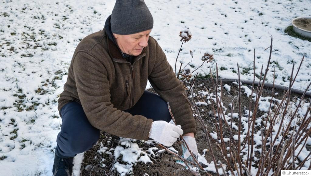 Comment réveiller les plantes après l’hiver ?