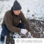 Comment réveiller les plantes après l’hiver ?