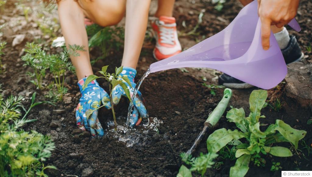 Comment économiser l’eau au jardin efficacement