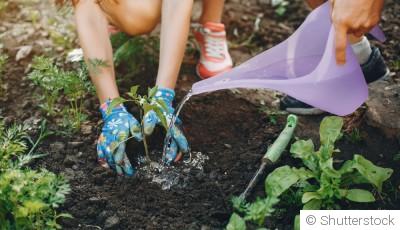 Comment économiser l’eau au jardin efficacement