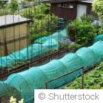Comment protéger son potager des ravageurs naturellement