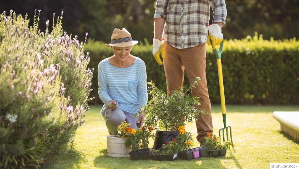 Les travaux essentiels à réaliser au jardin en ce moment