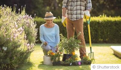 Les travaux essentiels à réaliser au jardin en ce moment