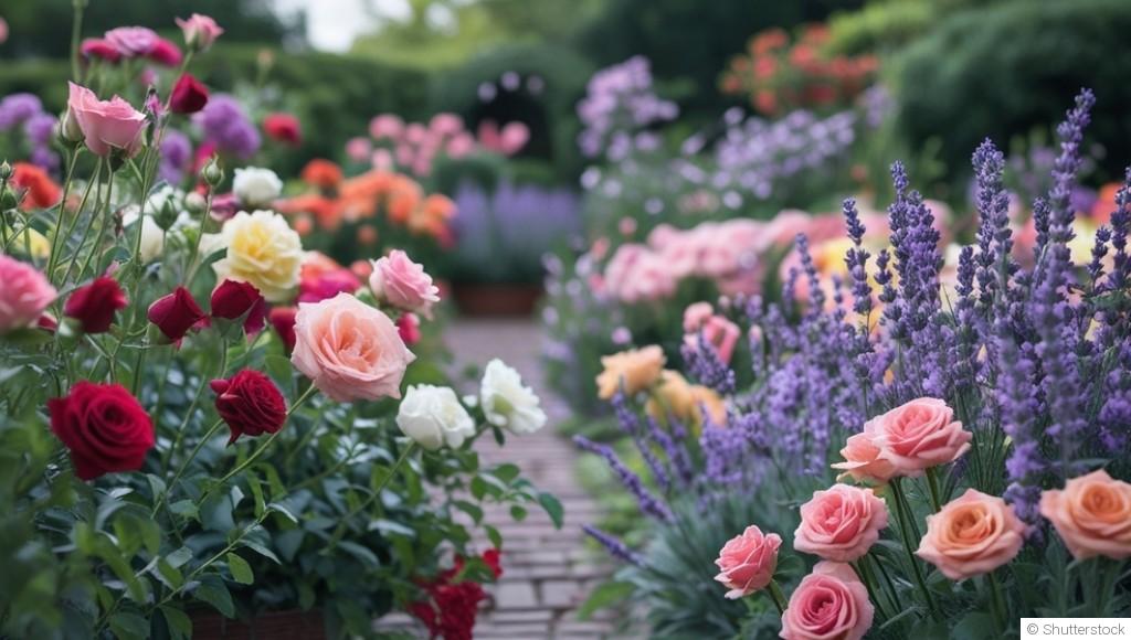 Comment conserver des fleurs éclatantes plus longtemps au jardin