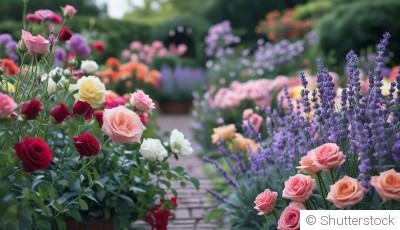 Comment conserver des fleurs éclatantes plus longtemps au jardin