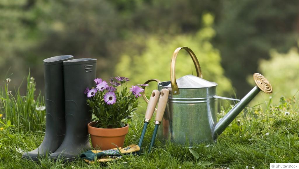 Les travaux de jardinage à réaliser avant la fin de l’été