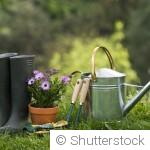 Les travaux de jardinage à réaliser avant la fin de l’été