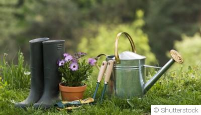 Les travaux de jardinage à réaliser avant la fin de l’été