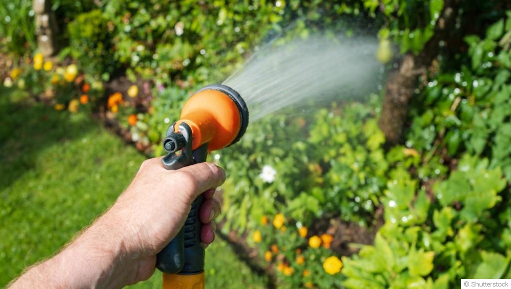 Arrosage en septembre : faut-il continuer comme en plein été ?