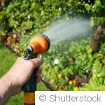 Arrosage en septembre : faut-il continuer comme en plein été ?