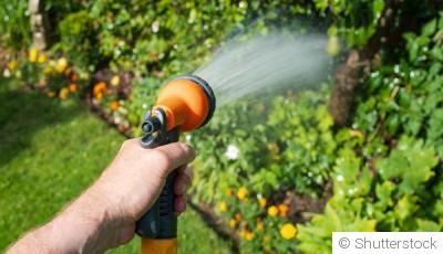 Arrosage en septembre : faut-il continuer comme en plein été ?