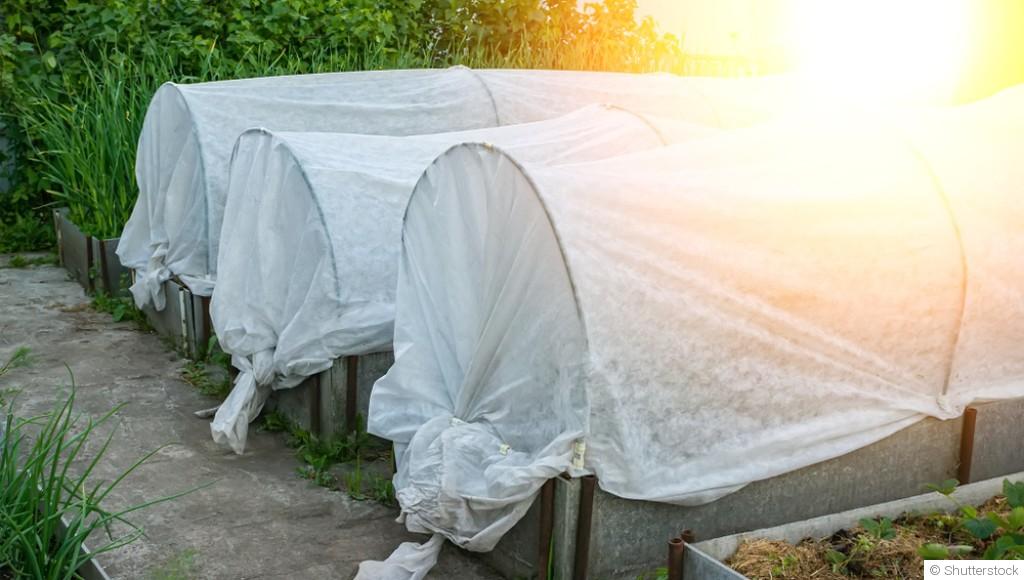 Comment limiter les dégâts du soleil sur les plantations