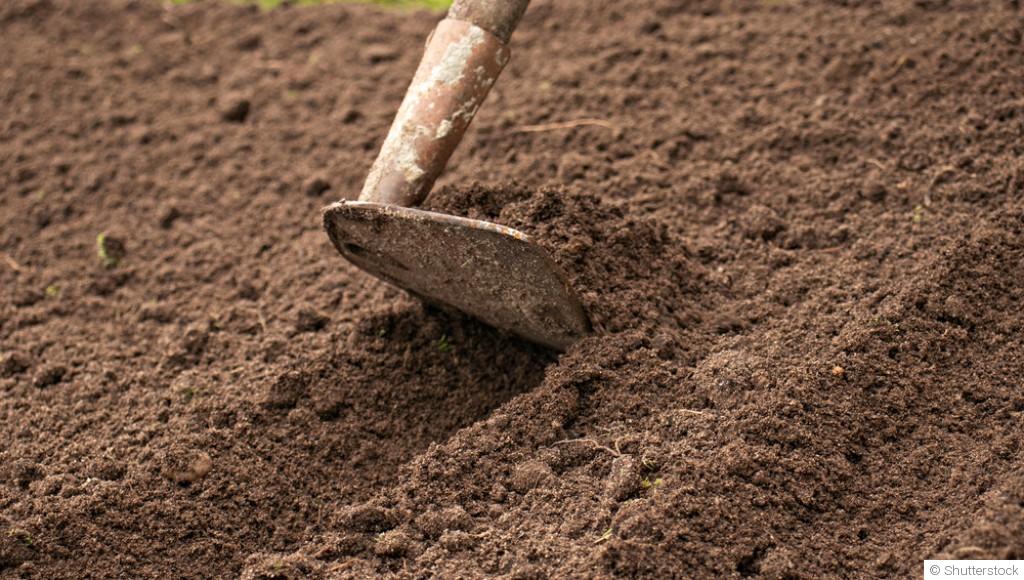 Jardin en septembre : 15 travaux indispensables avant l’arrivée de l’automne