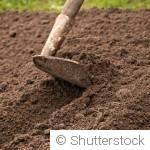 Jardin en septembre : 15 travaux indispensables avant l’arrivée de l’automne