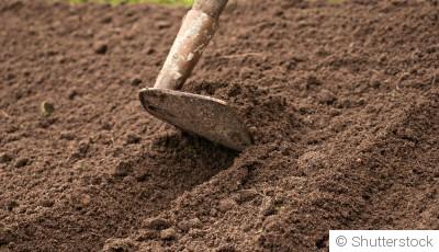 Jardin en septembre : 15 travaux indispensables avant l’arrivée de l’automne