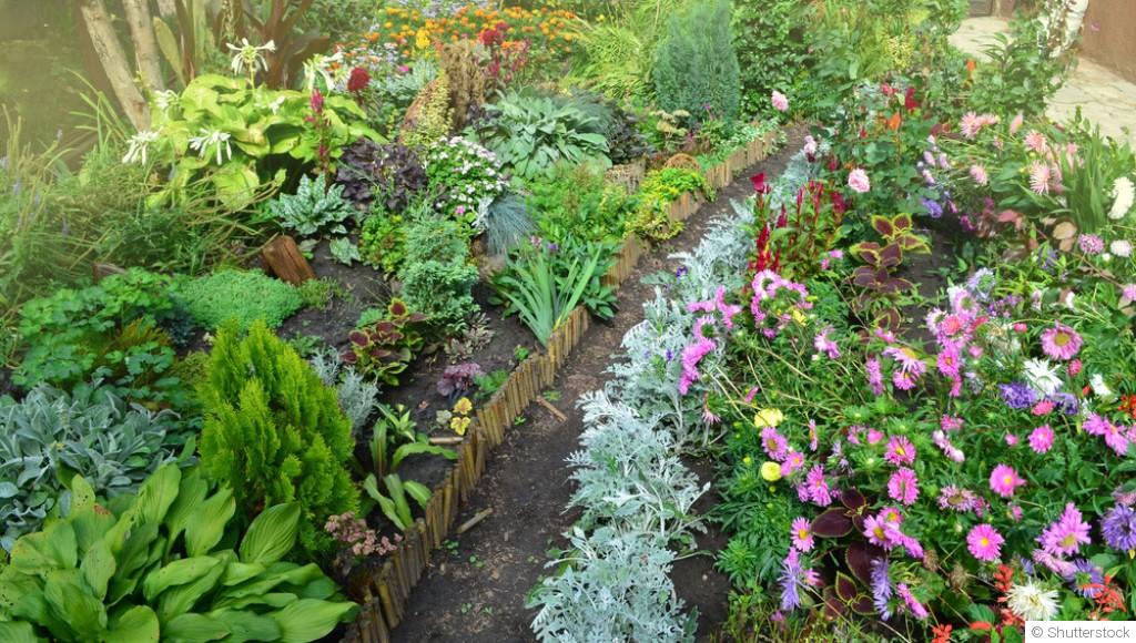 Les plantes compagnes qui protègent naturellement votre jardin