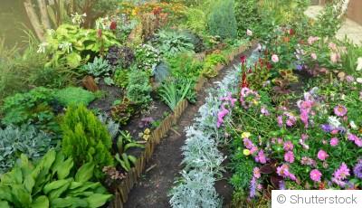 Les plantes compagnes qui protègent naturellement votre jardin