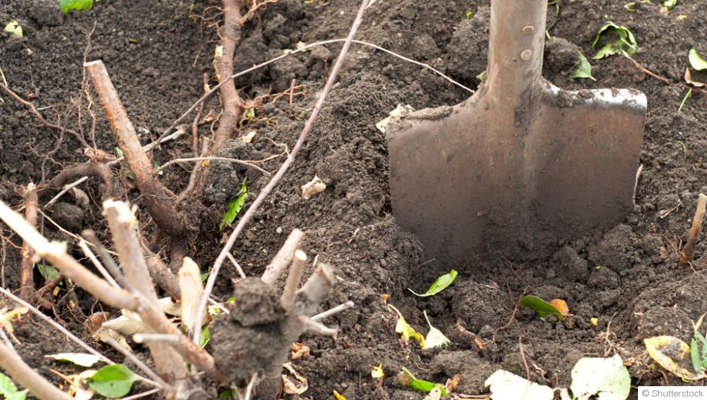 Les erreurs à éviter au jardin en septembre