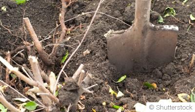 Les erreurs à éviter au jardin en septembre