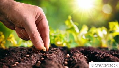 Que faire au jardin avant la fin du mois de septembre ?