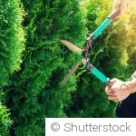 Les aménagements qui protègent naturellement votre jardin du vent