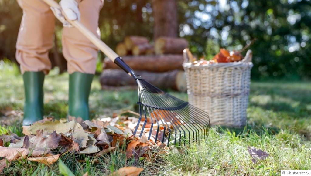 Comment améliorer la biodiversité de votre jardin avant l\'hiver ?