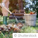 Comment améliorer la biodiversité de votre jardin avant l\'hiver ?