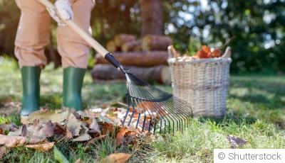 Comment améliorer la biodiversité de votre jardin avant l\'hiver ?