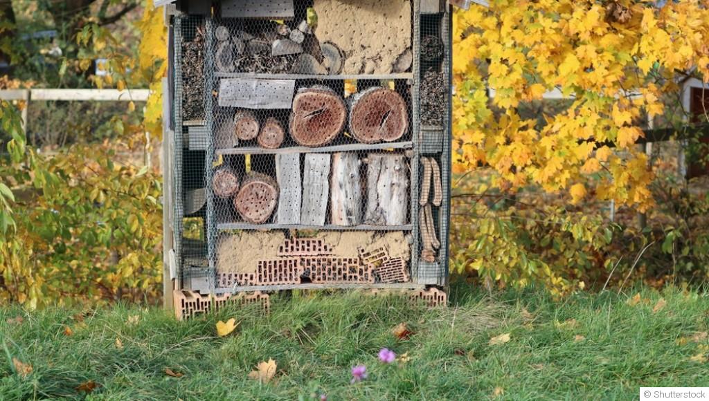 Pourquoi installer un hôtel à insectes dès l\'automne ?